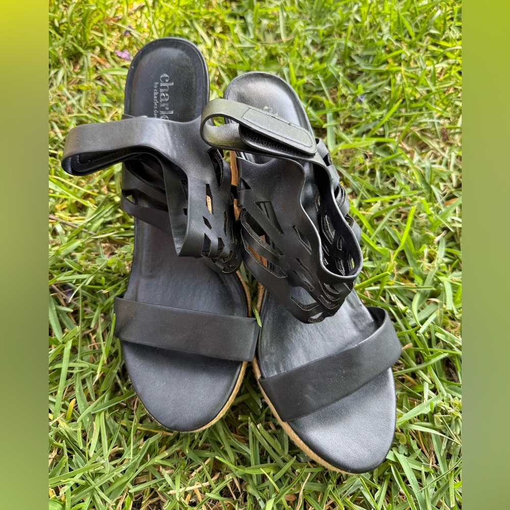 Charles By Charles David Black Strappy Sandals